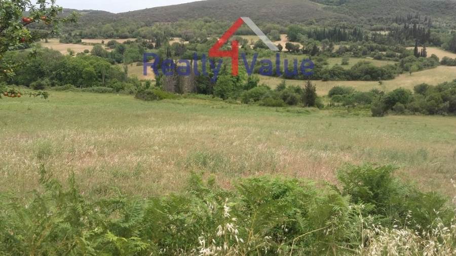 (Προς Πώληση) Αξιοποιήσιμη Γη Οικόπεδο || Ν. Μαγνησίας/Πήλιο-Αργαλαστή - 7.000 τ.μ, 100.000€ 