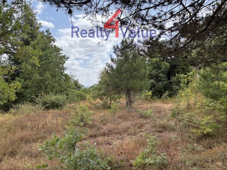 (Προς Πώληση) Αξιοποιήσιμη Γη Οικόπεδο || Ν. Κορινθίας/Φενεός - 1.180 τ.μ, 60.000€ 