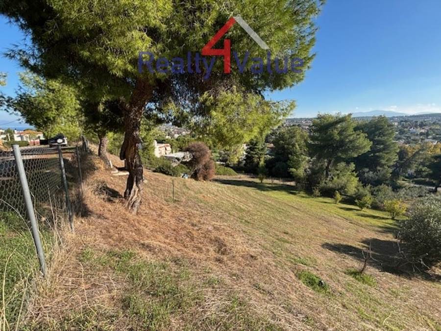 (Προς Πώληση) Αξιοποιήσιμη Γη Οικόπεδο || Ν. Βοιωτίας/Σχηματάρι - 1.234 τ.μ, 150€ 