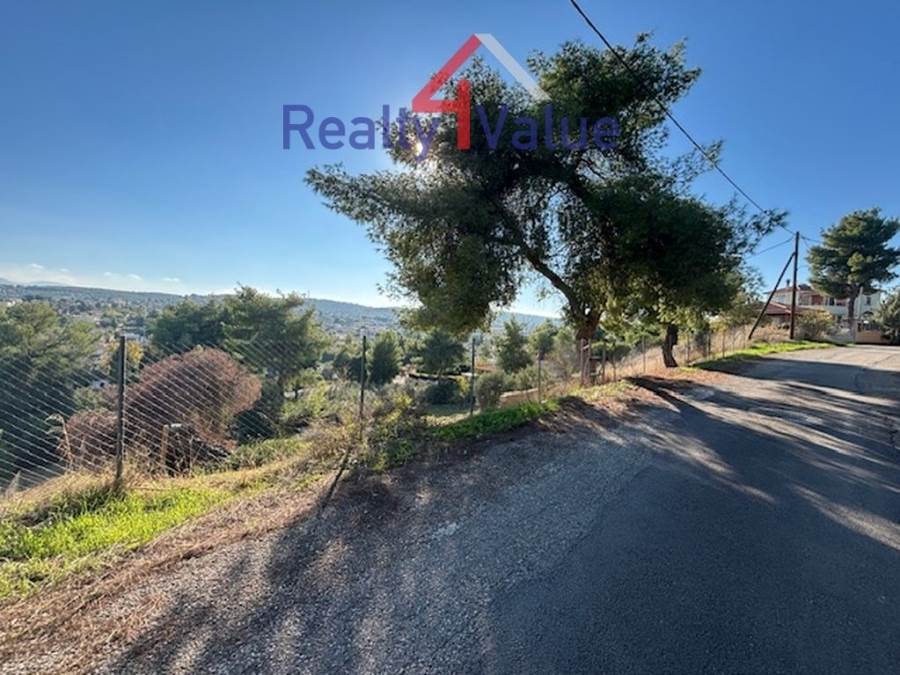 (Προς Πώληση) Αξιοποιήσιμη Γη Οικόπεδο || Ν. Βοιωτίας/Σχηματάρι - 1.233 τ.μ, 130.000€ 