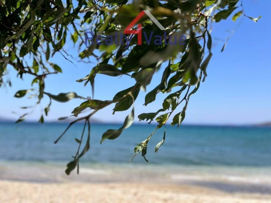 (For Sale) Land Plot || Evoia/Marmari - 523 Sq.m, 45.000€ 