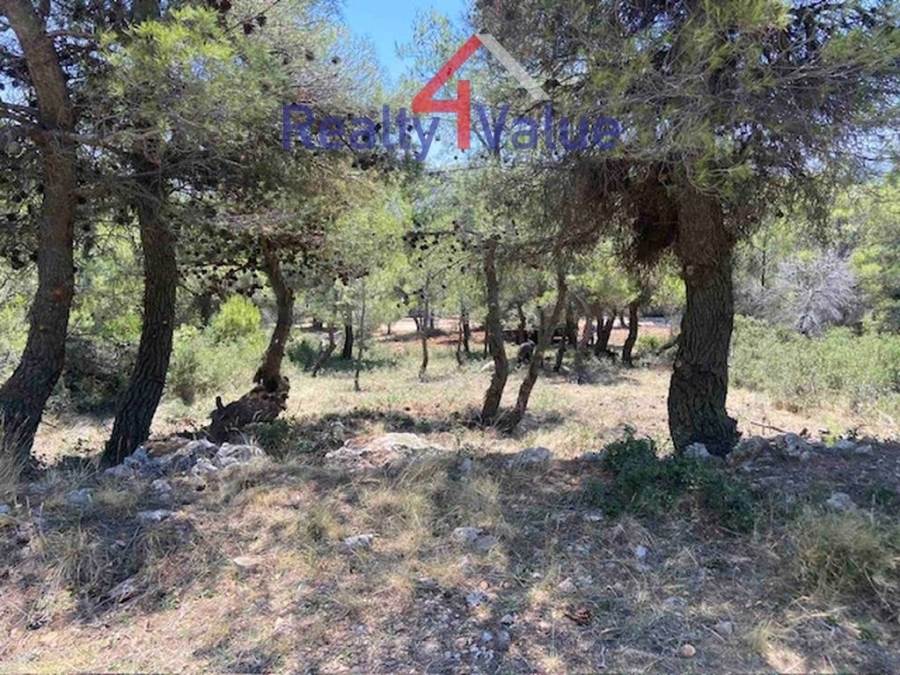 (Προς Πώληση) Αξιοποιήσιμη Γη Οικόπεδο || Δυτική Αττική/Βίλια - 400 τ.μ, 50.000€ 