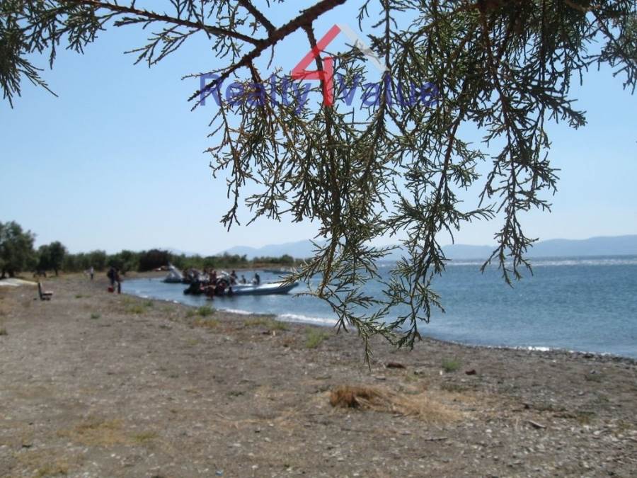 (Προς Πώληση) Αξιοποιήσιμη Γη Αγροτεμάχιο || Ν. Αργολίδας/Ερμιόνη - 12.000 τ.μ, 2.500.000€ 