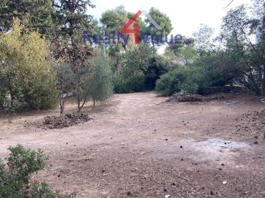 (Προς Πώληση) Αξιοποιήσιμη Γη Οικόπεδο || Ανατολική Αττική/Δροσιά - 2.890 τ.μ, 980.000€ 