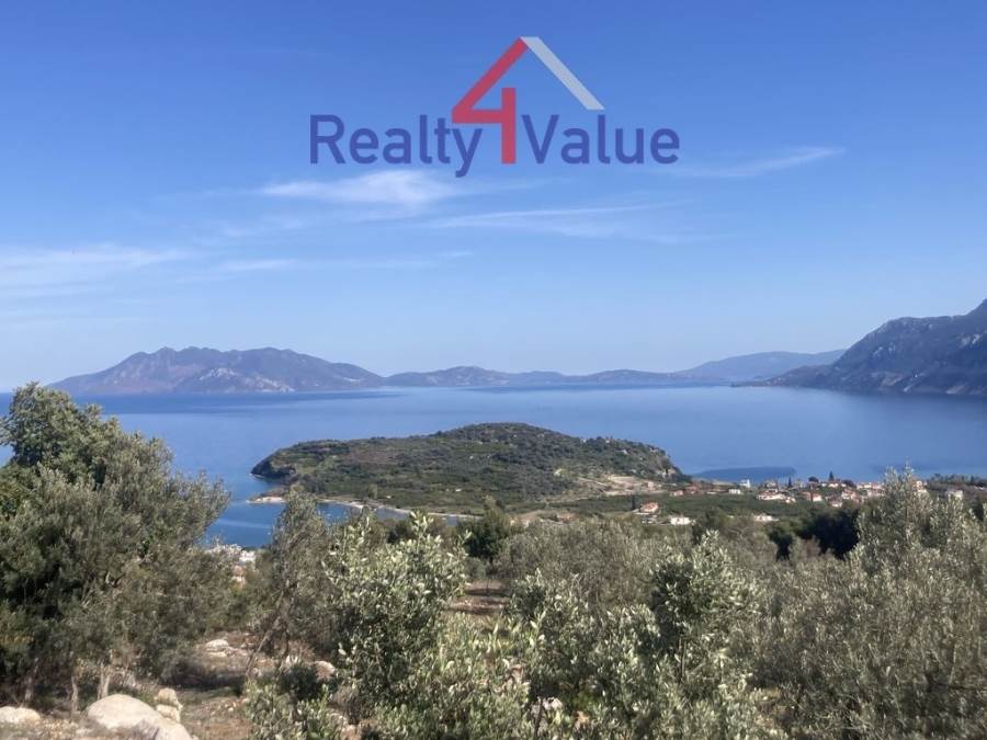 (Προς Πώληση) Αξιοποιήσιμη Γη Οικόπεδο || Ν. Αργολίδας/Επίδαυρος - 15.400 τ.μ, 450.000€ 