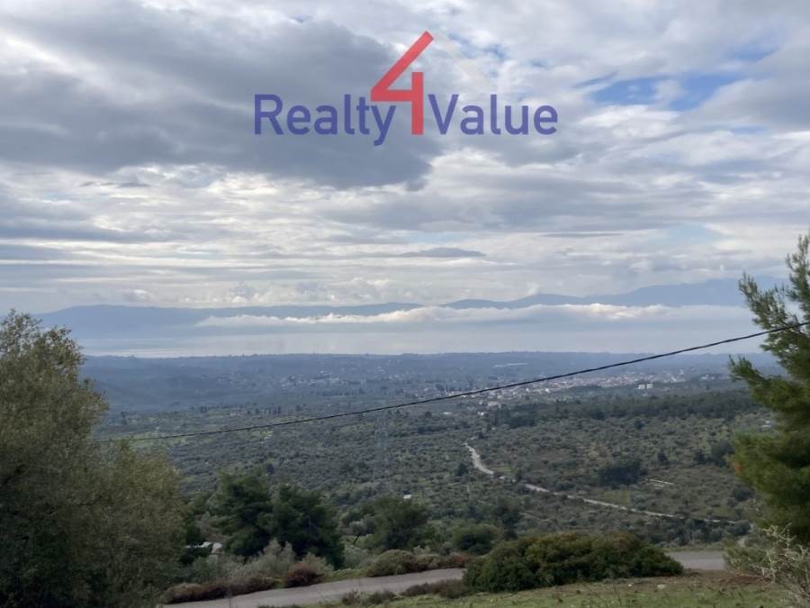 (Προς Πώληση) Αξιοποιήσιμη Γη Οικόπεδο || Ν. Εύβοιας/Αμάρυνθος  - 5.427 τ.μ, 40.000€ 